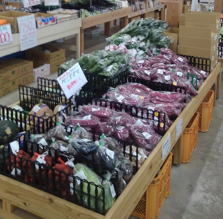 Fermented Miso (Red Bean)