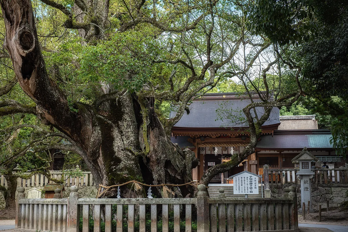 Ōyamazumi Shrine's treasure hall housing National Treasure armor