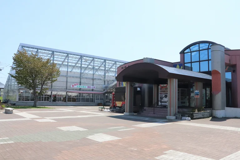 Makkari Flower Center - Image 3