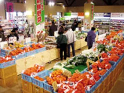 月见之里特产市场