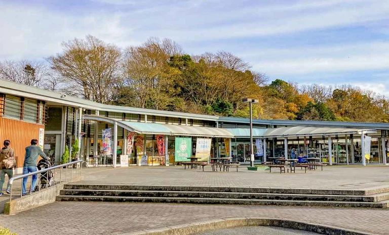 Azunosatoichihara - Image 3