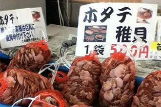 Hokkaido Scallop Fry Grade