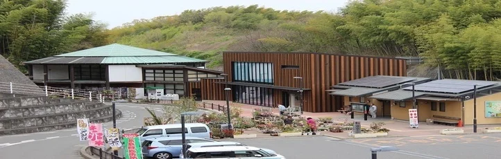 河南生态米水越