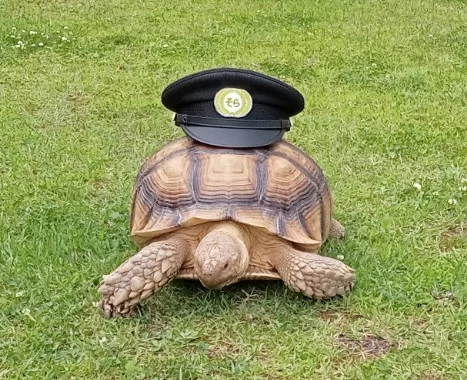 Sea Urchin Seasonal Gift Set
