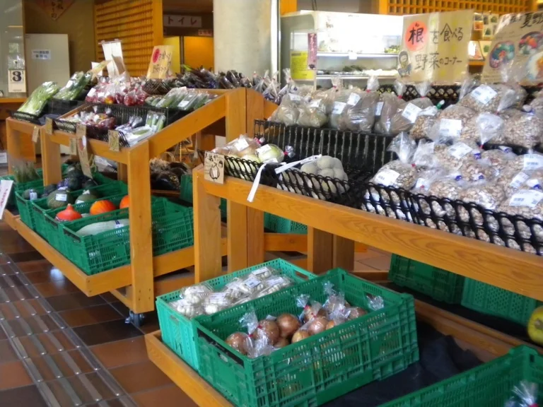 Tsuwano Onsen Nagomi no Sato - Image 2