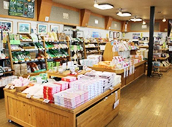 Saina Chaya - Image 3