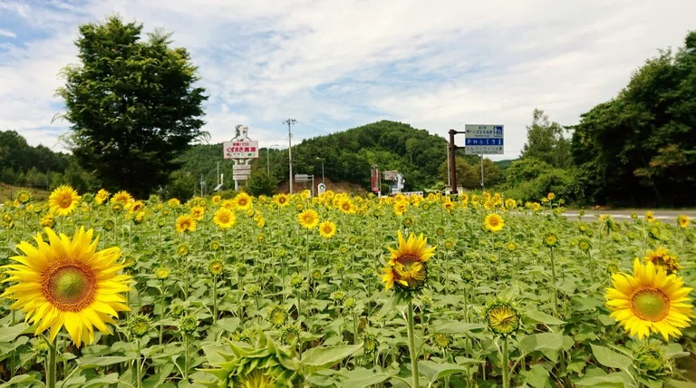 葛巻高原葡萄酒专卖店