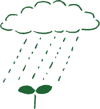 新鮮有機蔬菜禮盒