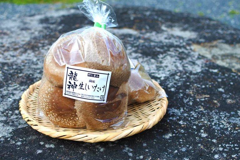 Fresh Shiitake Mushrooms