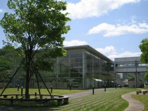 Fresh Asago - Image 2