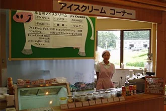 Ice Cream Counter