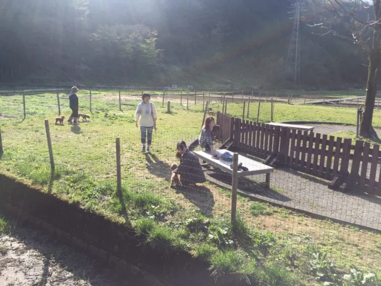 Seo (Michi-no-Eki Hakusan) - Image 2