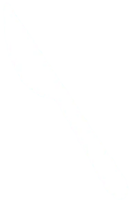 Sea Self-Defense Force Curry