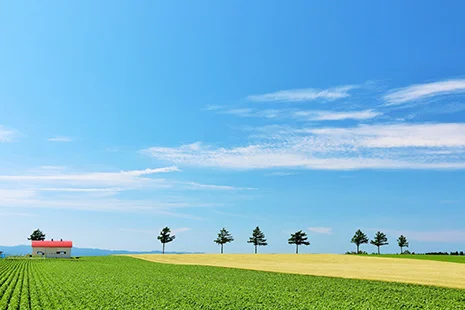 Marchen Hill Memanbetsu - Image 2