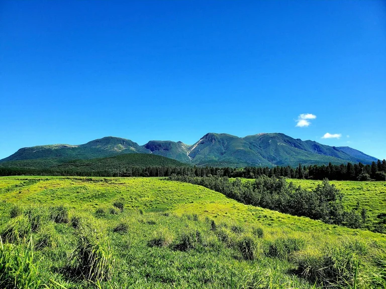 Sugou Seasonal Kitchen
