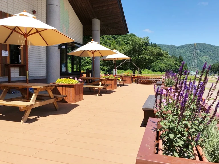 세오 패스티벌 차이