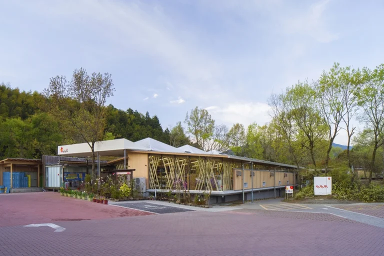 Uchiko Fresh Park Karari