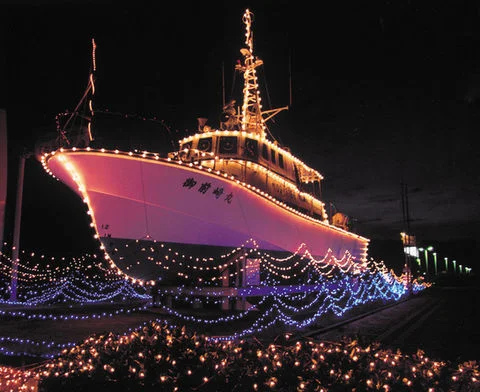 一黑军鸡专卖店