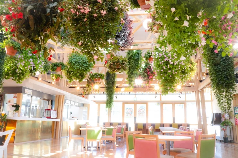 Iitate Village Michi-no-Eki Madei-kan - Image 2