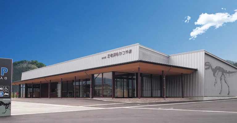 Dinosaur Valley Katsuyama