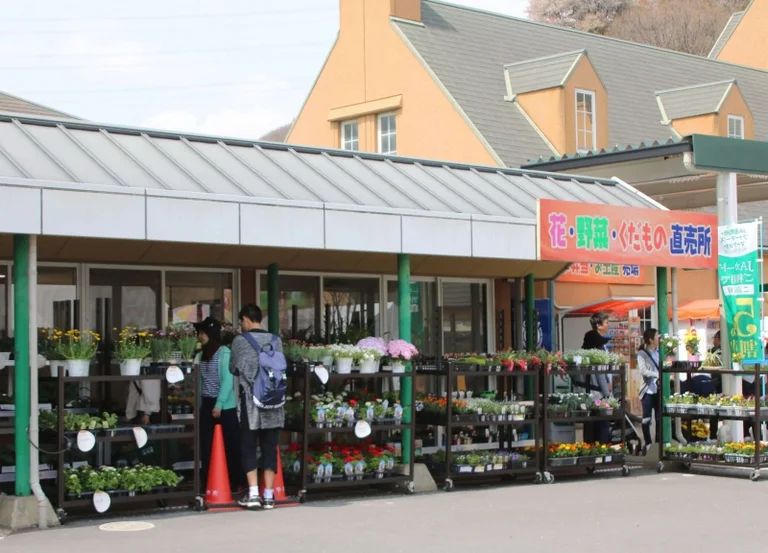 Miyama Park - Image 2