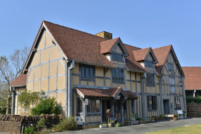 Rosemary Park - Image 2