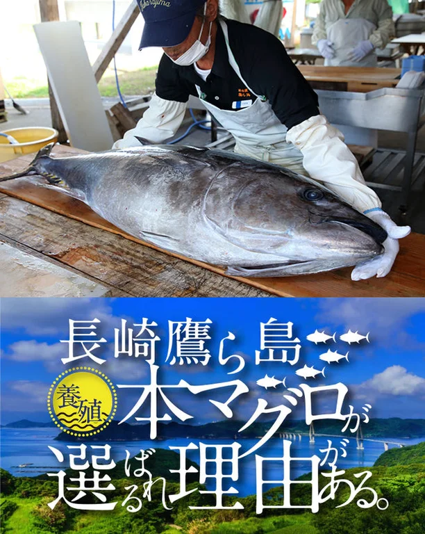 Takara Island Seafood Restaurant