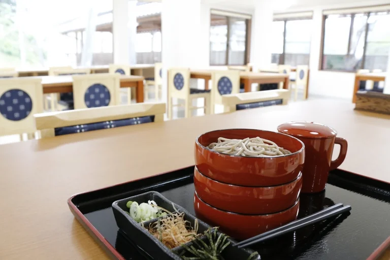 Hirose-Toyoda Castle - Image 3