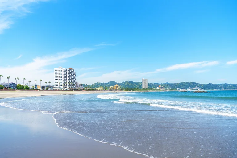 Ocean View Restaurant