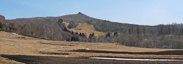 Kuzakai Mountain View Food Stall