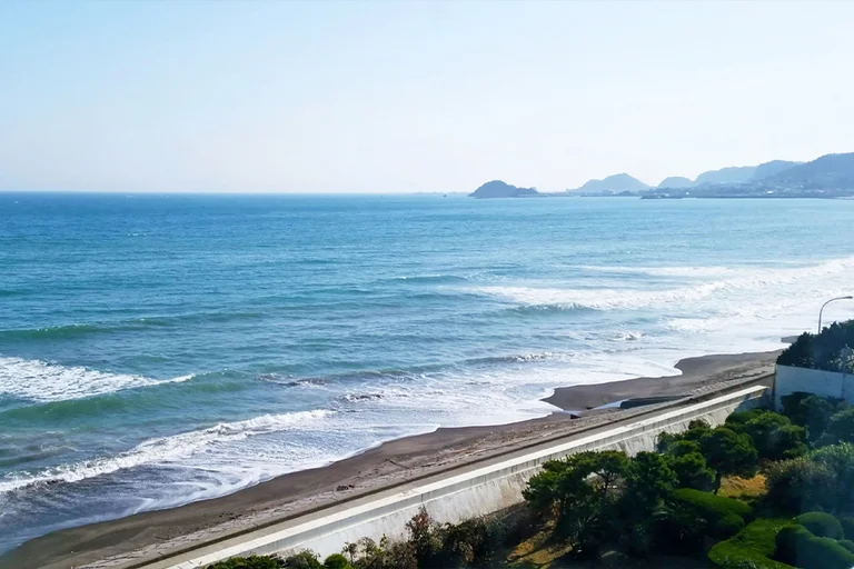 Local Produce Market
