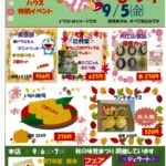 Shaved Ice with Strawberry