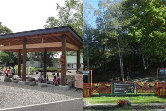 Local Produce Market