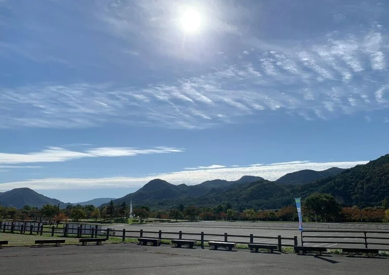 Local Specialty Store