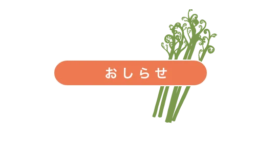 Sawamodashi Specialty Store