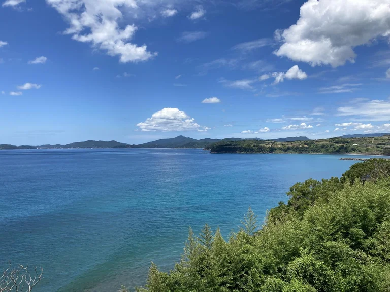 赤土ばれいしょ