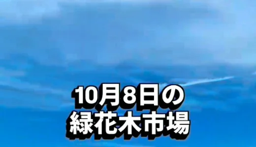 Dry Garden Decor Items