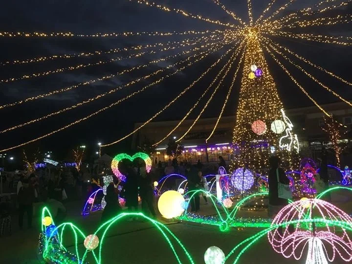 La La N Fujioka - Image 3