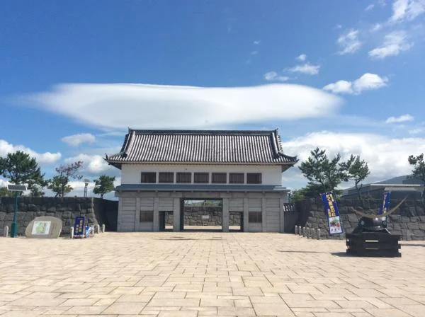 Date Historical Forest - Image 2