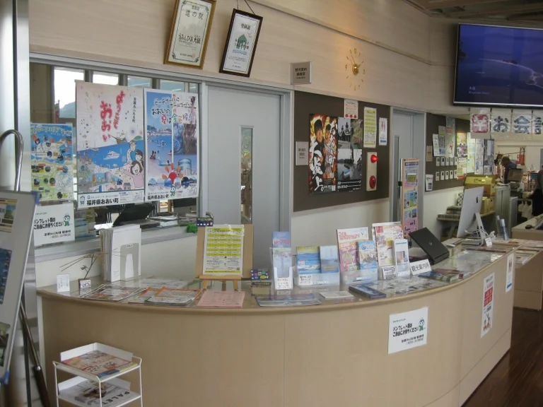 Uminpia Ooi - Image 2