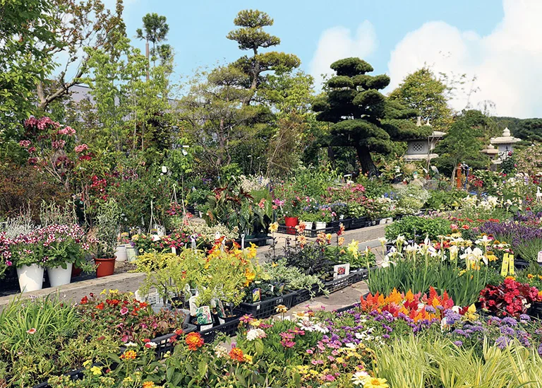 Teien no Sato Honnai - Image 3