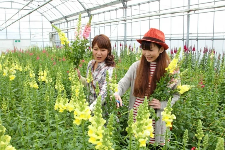 Otsu-no-Sato - Image 3