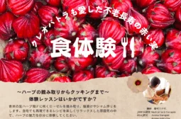 Herb Experience and Craft Shop