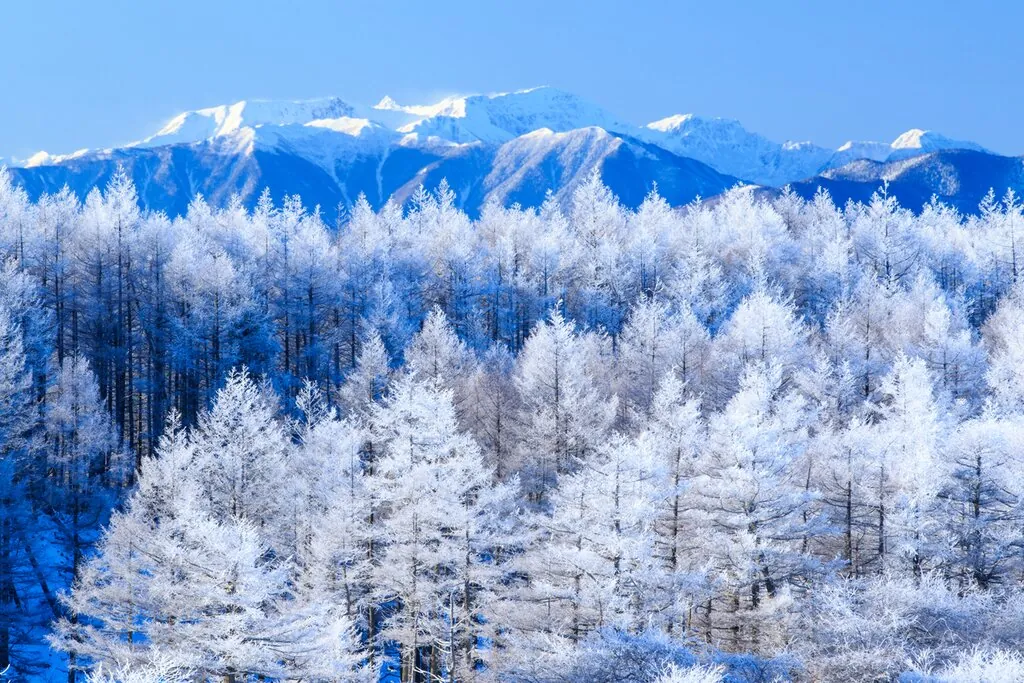Japanese Alps snow-covered peaks in winter