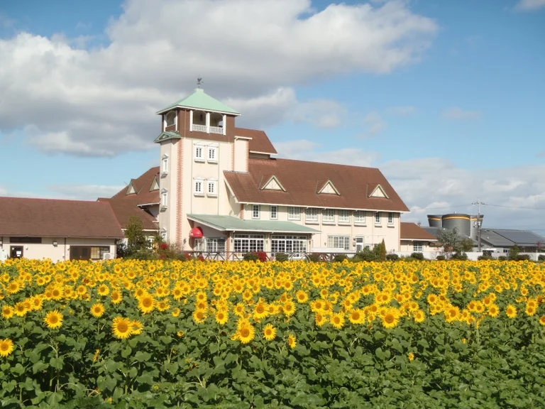 Higashi-Omi Aitou Margaret Station