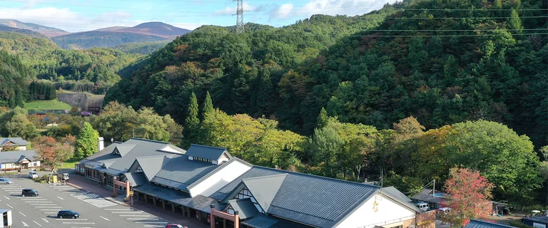 Local Specialty Market