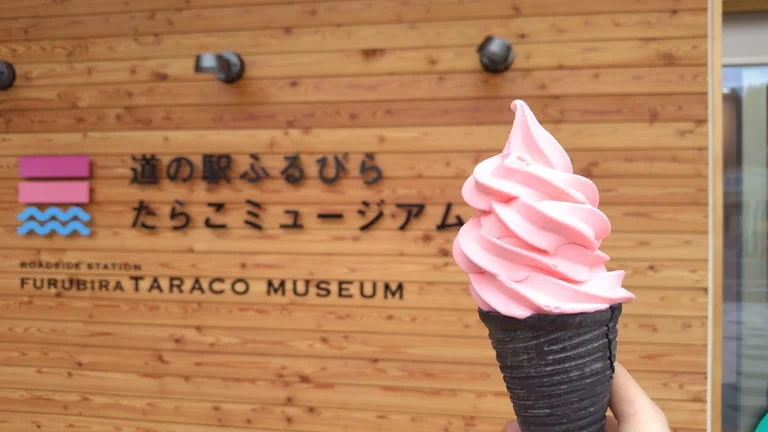 Furubira Tarako Museum - Image 3