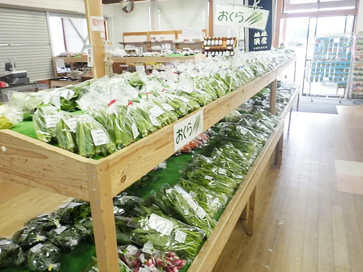 尾神岳山野菜調味料