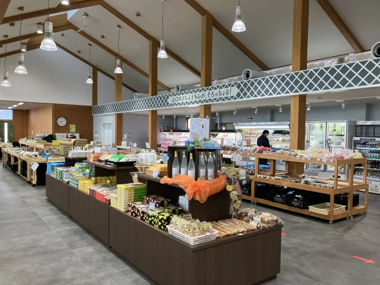 Kirara Ajisu - Image 2