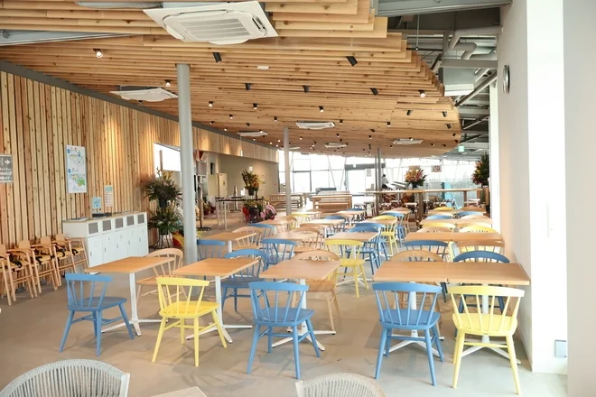 Shonan Chigasaki - Image 3